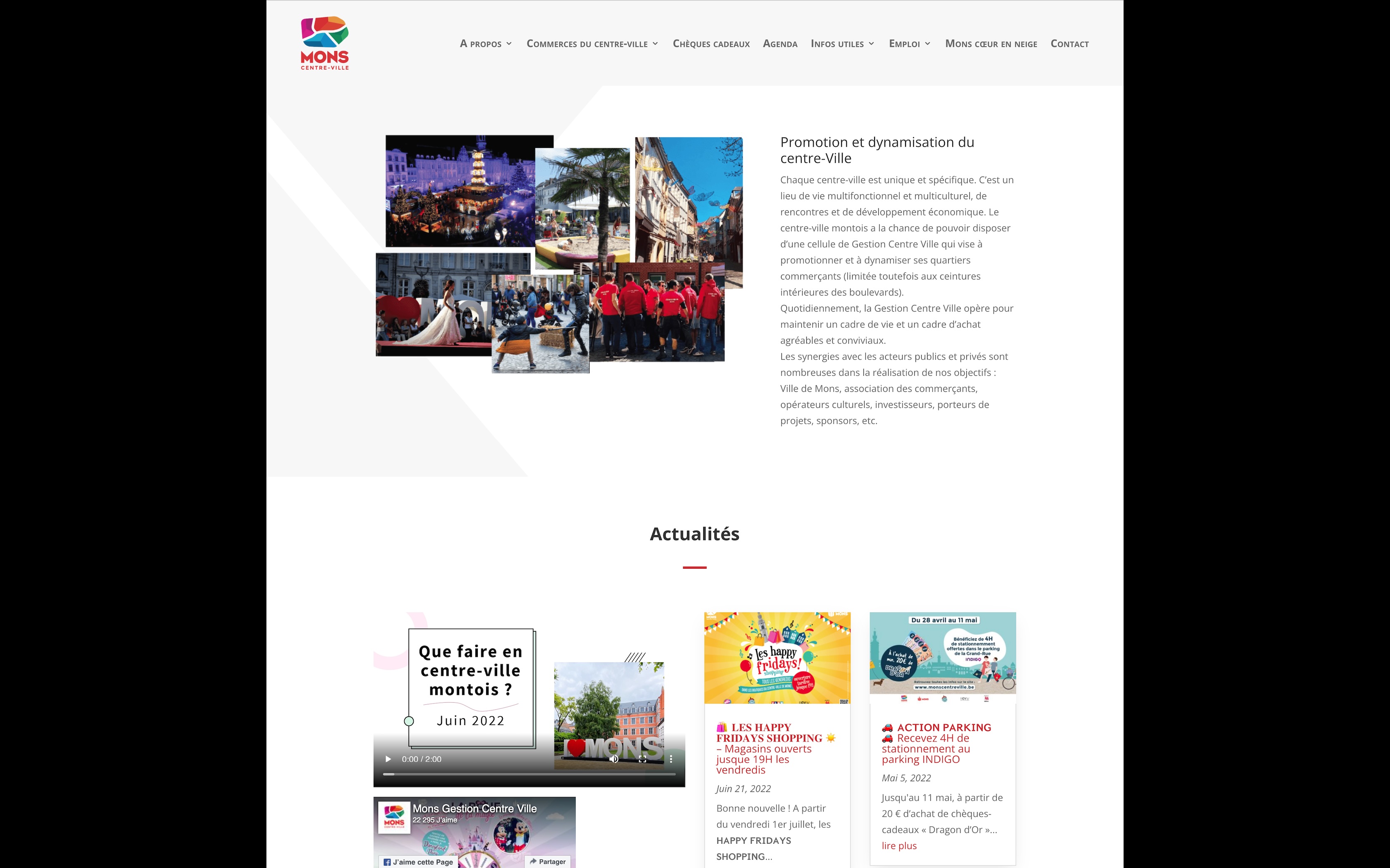 Site Ville de Mons